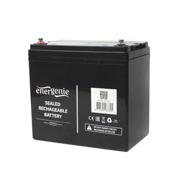 Аккумуляторная батарея EnerGenie BAT-12V55AH, 12В 55Aч BAT-12V55AH 1000036 фото