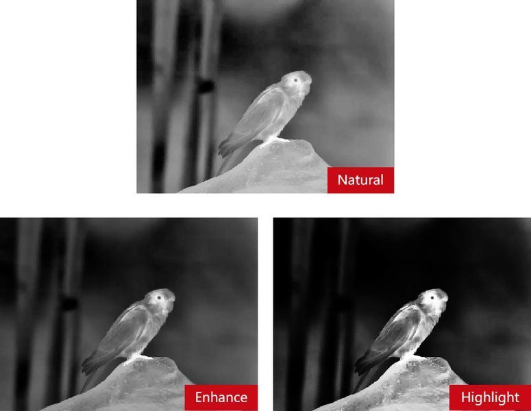 Бинокуляр тепловизионный GUIDE TN650 2,8-22,4x50 640x480@12&mu;m VOx с дальномером 1500 м 23780130 фото