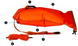 Бiнокль Bresser Topas 7x50 WP Compass/Reticle 1866932 фото 19