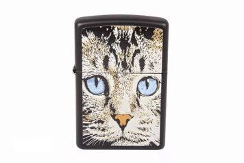 Зажигалка Zippo Blue Eyed Cat 28040 V77550714 фото