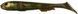 Силікон Savage Gear LB 3D Goby Shad 230mm 96.0g Motor Oil Goby UV (поштучно) 18580903 фото