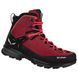 Ботинки Salewa MTN Trainer 2 MID GTX Wms 013.001.5519 фото