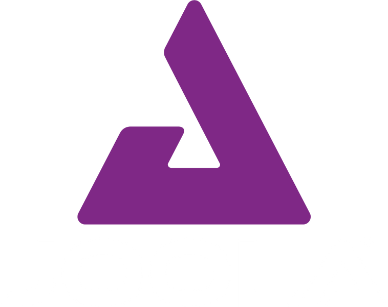 Основа для ракетки Joola J Allround FL (69125) 930964 фото