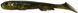 Силикон Savage Gear LB 3D Goby Shad 200mm 60.0g Spotted Bullhead UV (поштучно) 18541539 фото