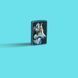 Запальничка Zippo 218 Linda Picken 48598 V77553918 фото 8