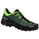Кроссовки Salewa ALP Trainer 2 Mns 013.001.5620 фото