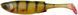 Силікон Savage Gear Craft Shad 72мм 2.6g Perch (5 шт/уп) 18541665 фото
