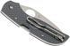 Нож Spyderco Chaparral C152PGY 871333 фото 2