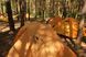 Намет надлегкий двомісний з футпринтом Naturehike Star-River 2 Updated NH17T012-T, 210T, Помаранчевий 62865 фото 5