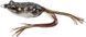 Воблер Savage Gear 3D Walk Frog 70mm 20.0g Brown Frog 18540934 фото