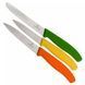 Набор кухонных овощных ножей Victorinox Swiss Classic Paring Set 3 шт Разноцветные (6.7116.31G) V77551914 фото 2