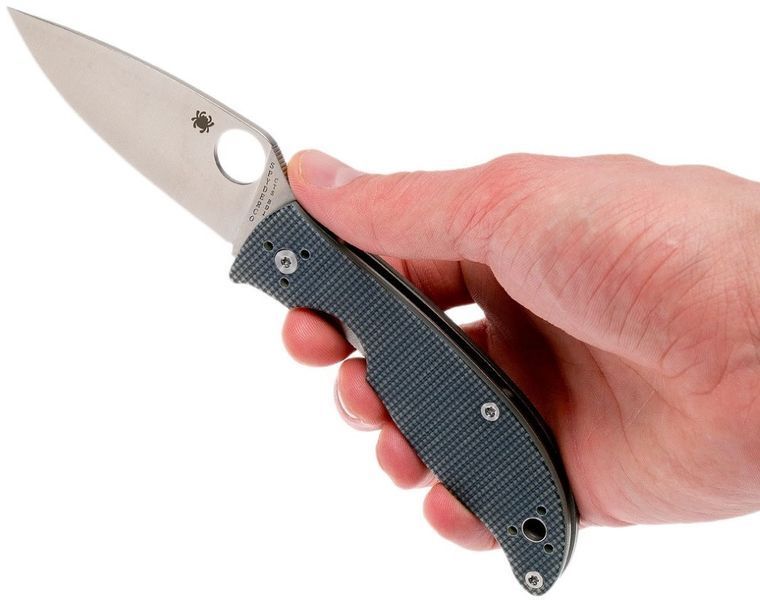 Ніж Spyderco Alcyone G-10 Grey C222GPGY 871338 фото