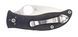 Ніж Spyderco Alcyone G-10 Grey C222GPGY 871338 фото 4