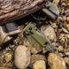 Ніж SOG Terminus XR D2 G-10 OD Green SOG-TM1022-BX 12580324 фото 7