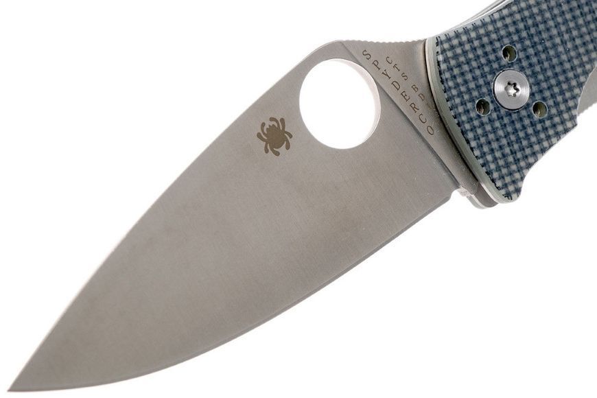 Ніж Spyderco Alcyone G-10 Grey C222GPGY 871338 фото
