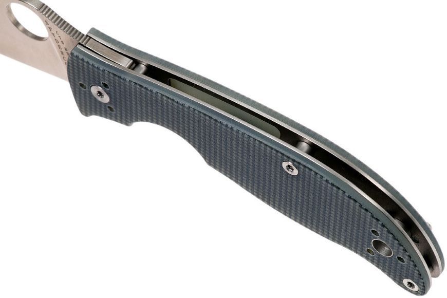 Ніж Spyderco Alcyone G-10 Grey C222GPGY 871338 фото