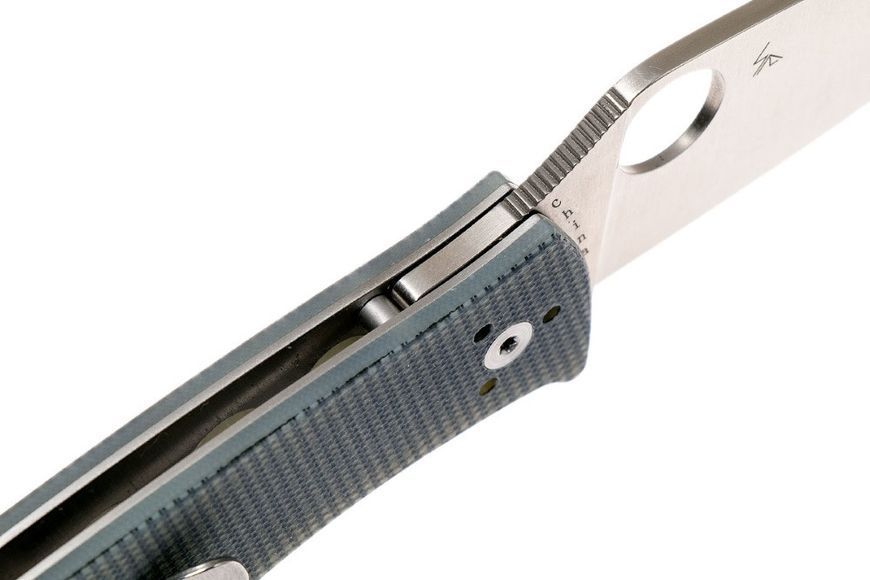 Ніж Spyderco Alcyone G-10 Grey C222GPGY 871338 фото