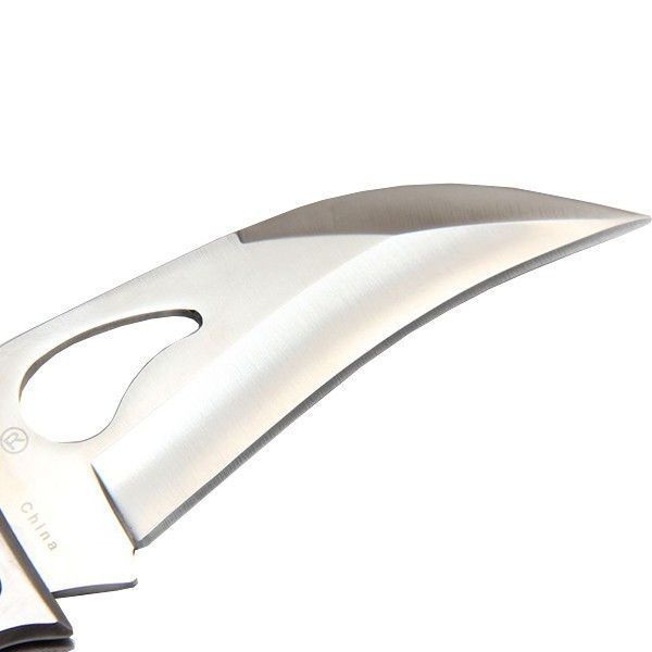 Ніж Spyderco Byrd Crossbill BY07P 870607 фото