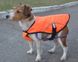 Накидка (попона) для собак маленькая оранжевая 11109845 фото 1