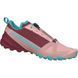 Кросівки Dynafit Traverse GTX Wms 016.001.2309 фото