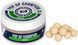 Бойлы Brain Champion Pop-Up Garlic (чеснок) 10mm 34g 18582215 фото
