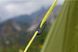 Намет Vango Soul 300 Treetops (TERSOUL T15165) 926354 фото 10