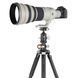 Штатив Vanguard VEO 3+ 303CBS (VEO 3+ 303CBS) DAS302001 фото 3
