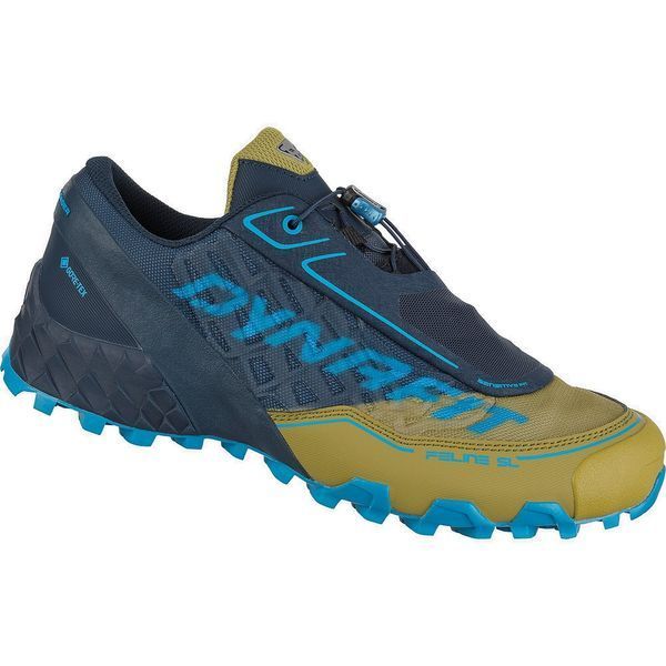 Кросівки Dynafit Feeline SL GTX Mns 016.001.1397 фото