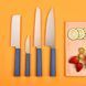 Набір кухонних ножів Butterfork Purest Set Ultramarine BF01-FKS-BU 19370021 фото 2