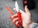 Нож Boker Plus Fire Ant Red 01BP0008 23731196 фото 4