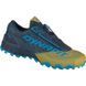 Кросівки Dynafit Feeline SL GTX Mns 016.001.1398 фото 2