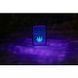 Запальничка Zippo Cannabis Design Black Light світиться в ультрафіолеті 48736 V77553971 фото 5