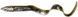 Силікон Savage Gear 3D Real Eel Loose Body 150mm 12.0g Lamprey PHP (поштучно) 18542440 фото