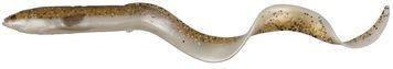 Силікон Savage Gear 3D Real Eel Loose Body 200мм 27.0g #22 Olive Sparkle Pearl 18540704 фото