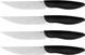 Набор кухонных ножей Kershaw Steak Knife 4-Piece Микросеррейтор 1785 17400659 фото 1