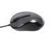 Миша A4Tech N-360-1 V-Track USB, ciра N-360-1 (Glossy grey) 0202635 фото 2