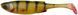 Силікон Savage Gear Craft Shad 88mm 4.2g Perch (поштучно) 18542418 фото