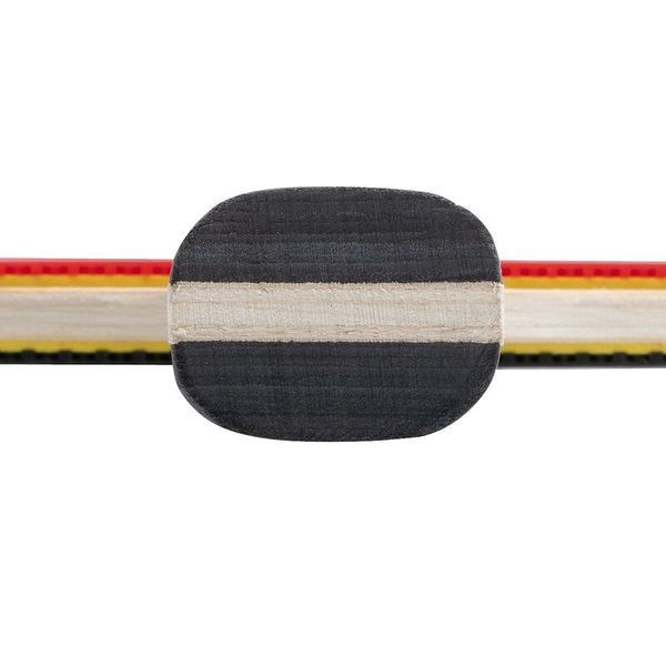 Набор для настольного тенниса Butterfly Racket Set Easy 2 Bats 3 Balls 6257623202 932197 фото