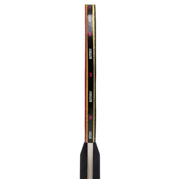 Набор для настольного тенниса Butterfly Racket Set Easy 2 Bats 3 Balls 6257623202 932197 фото