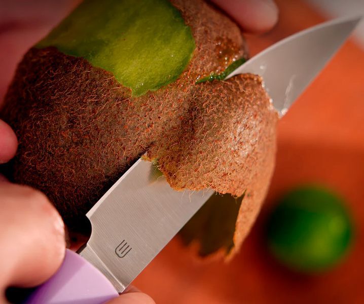 Ніж кухонний Butterfork Paring Knife AR-RPM9 ABS Mist Violet BF01-PK-PP 19370020 фото