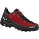 Кросівки Salewa Alp Trainer 2 GTX W 61401 013.001.6175 фото 1