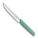 Кухонний ніж для стейку Victorinox Swiss Modern Steak м'ятний 6.9006.1241 V77554466 фото 4