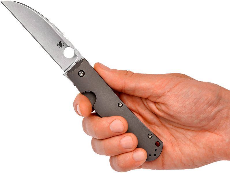 Ніж Spyderco Swayback SW C249TIP 871427 фото