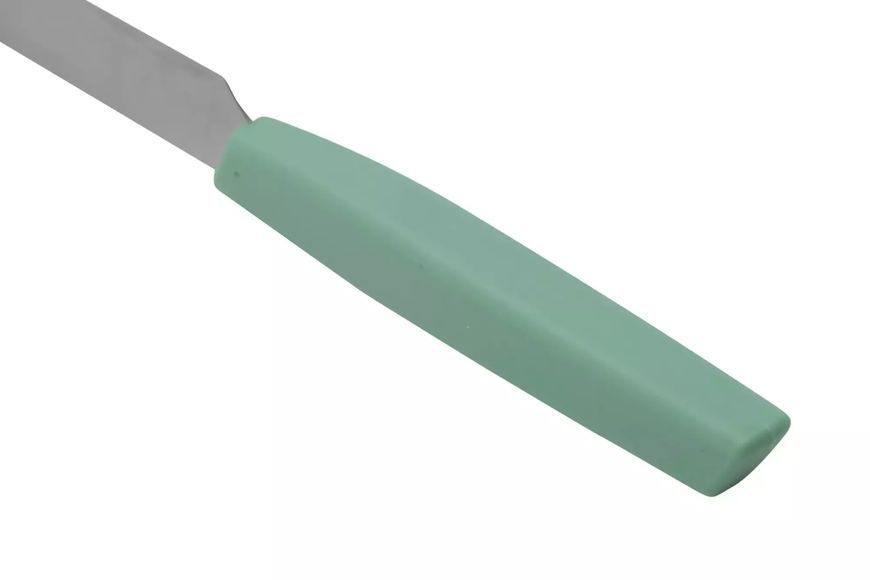 Кухонний ніж для стейку Victorinox Swiss Modern Steak м'ятний 6.9006.1241 V77554466 фото