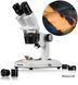 Микроскоп Bresser Researcher ICD LED 20x-80x (5803100) 908585 фото 6
