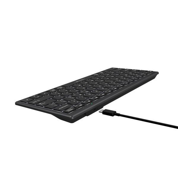 Клавіатура A4-Tech Fstyler FX61, сірий колір, USB, біле підсвічування FX61 USB (Grey) 1605608 фото