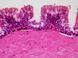 Набор препаратов Bresser 30 шт Histology 5985000 фото 2