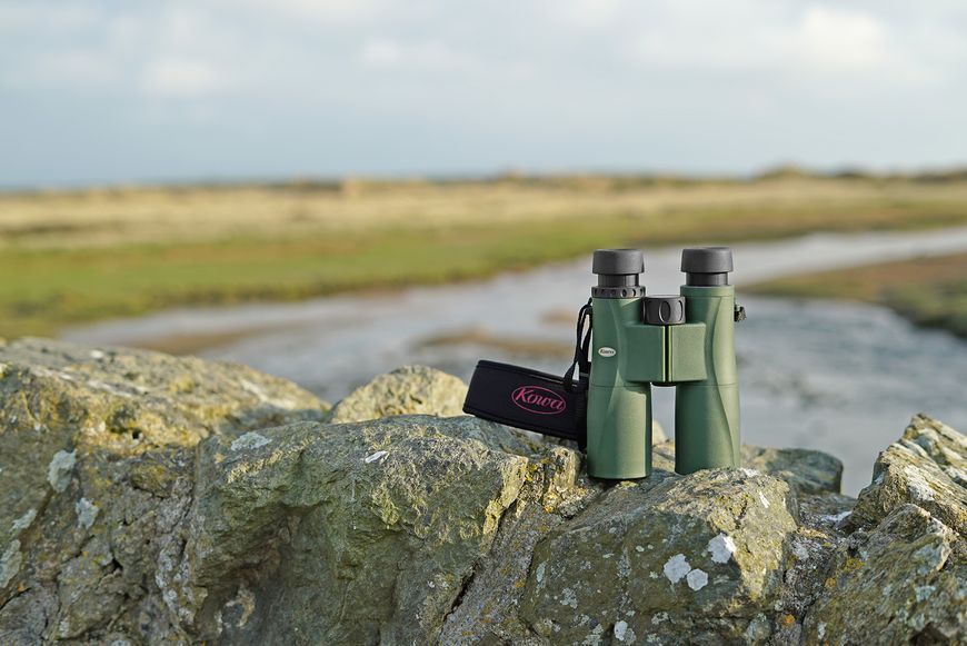 Бинокль Kowa SV II 10x42 WP (11905) 927696 фото