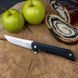 Ніж Ruike Hussar P121-B 41846 фото 11