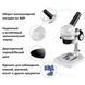 Микроскоп Bresser Junior (8852500) 928505 фото 2